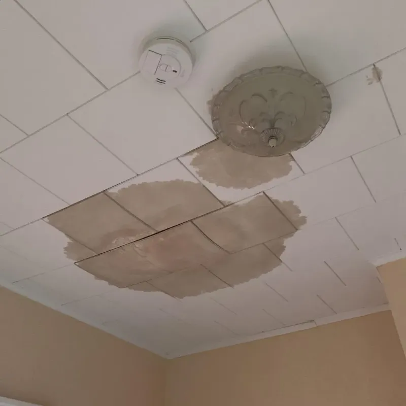 Ceiling Water Damage Repair in Chickasaw County, MS