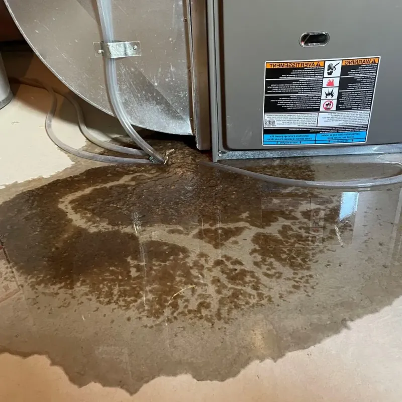Pipe Burst and Leak Restoration in Chickasaw County, MS