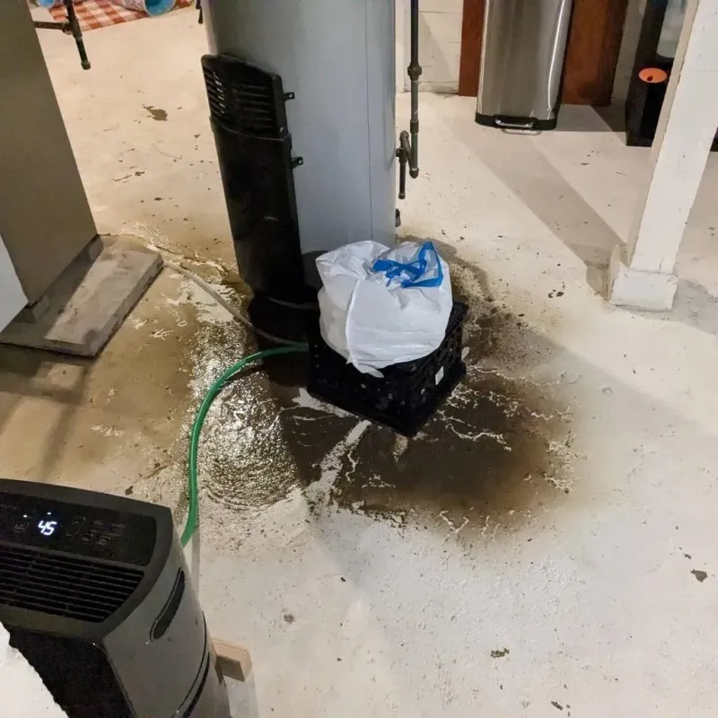 Sewage Backup Cleanup Service in Chickasaw County, MS